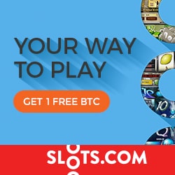 Slots Com 100 Up To 1000 Free Chips Bonus In Bitcoins Mobile Casino - 